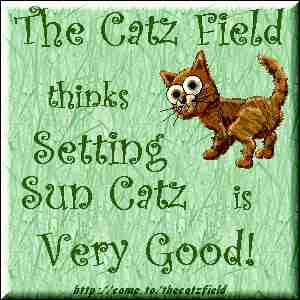 1_award.jpg (11308 bytes)