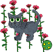 perffy.gif (8441 bytes)