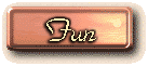 ssfun.GIF (4463 bytes)