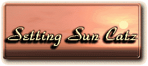 title_settingsun.gif (12979 bytes)