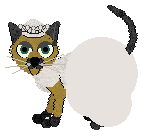 weddingdaybride.gif (3842 bytes)
